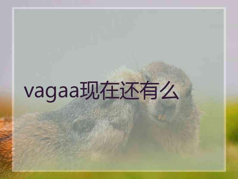 vagaa现在还有么