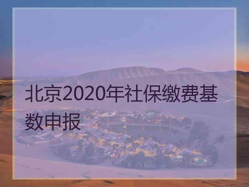 北京2020年社保缴费基数申报