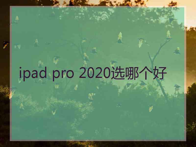 ipad pro 2020选哪个好