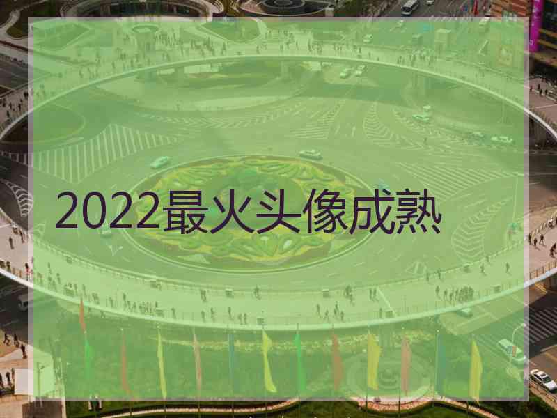 2022最火头像成熟