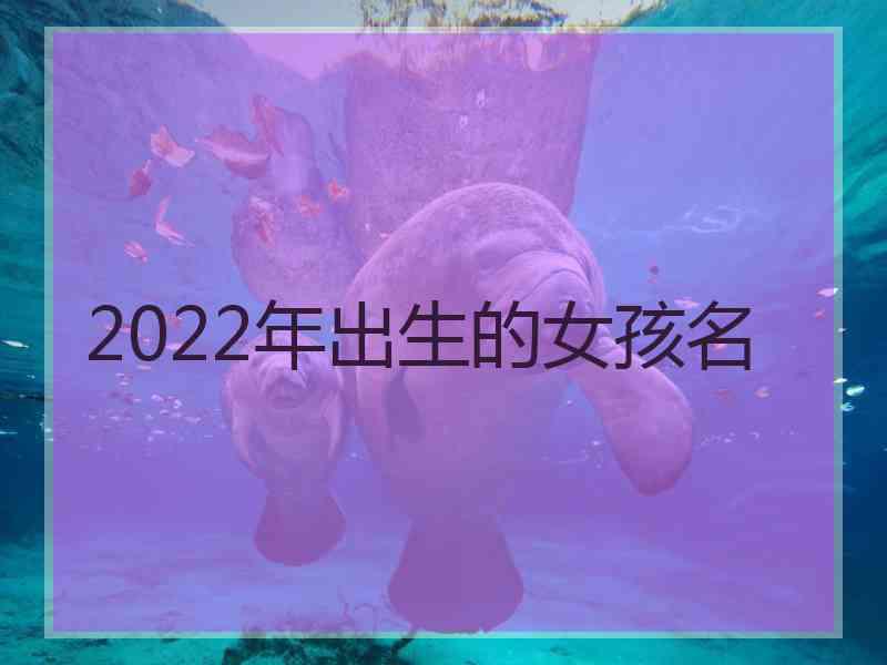 2022年出生的女孩名