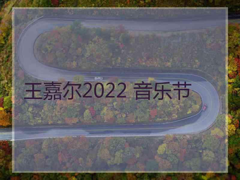 王嘉尔2022 音乐节