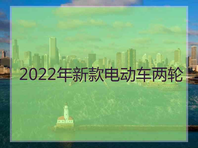 2022年新款电动车两轮