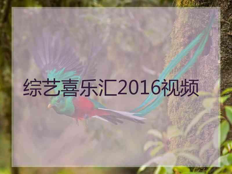 综艺喜乐汇2016视频