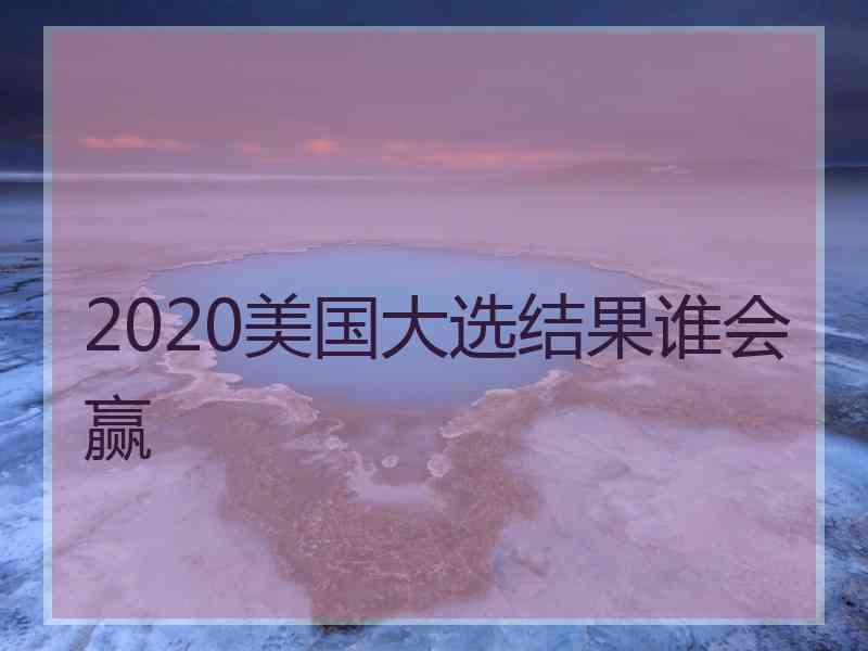 2020美国大选结果谁会赢