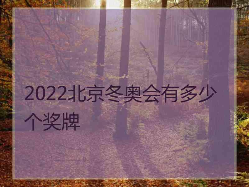 2022北京冬奥会有多少个奖牌