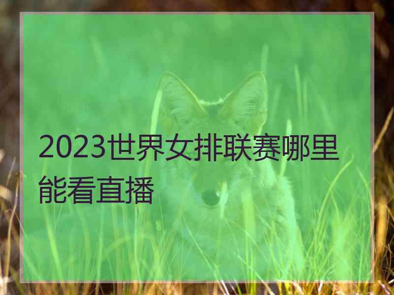 2023世界女排联赛哪里能看直播