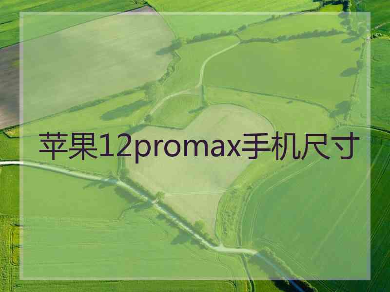 苹果12promax手机尺寸