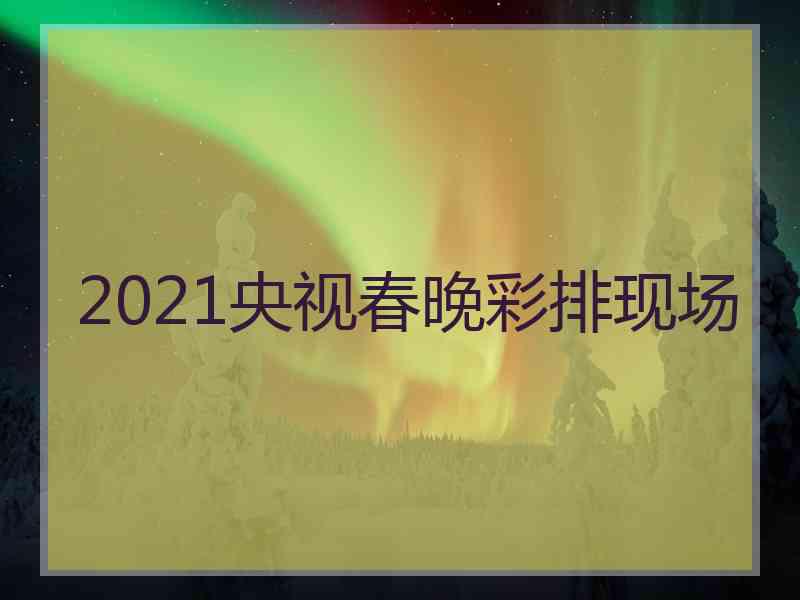 2021央视春晚彩排现场