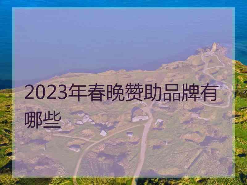 2023年春晚赞助品牌有哪些