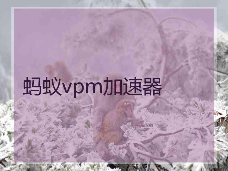 蚂蚁vpm加速器