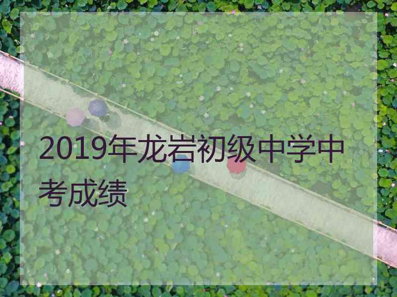 2019年龙岩初级中学中考成绩