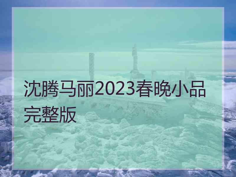 沈腾马丽2023春晚小品完整版