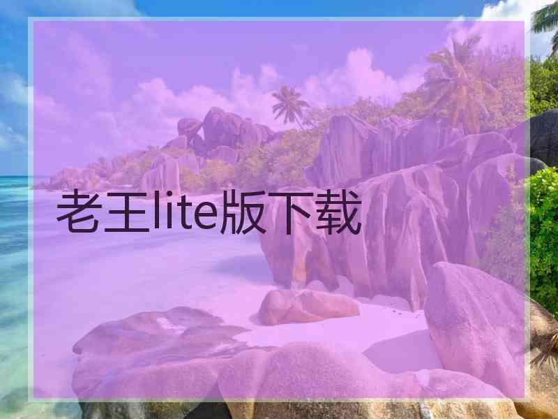 老王lite版下载