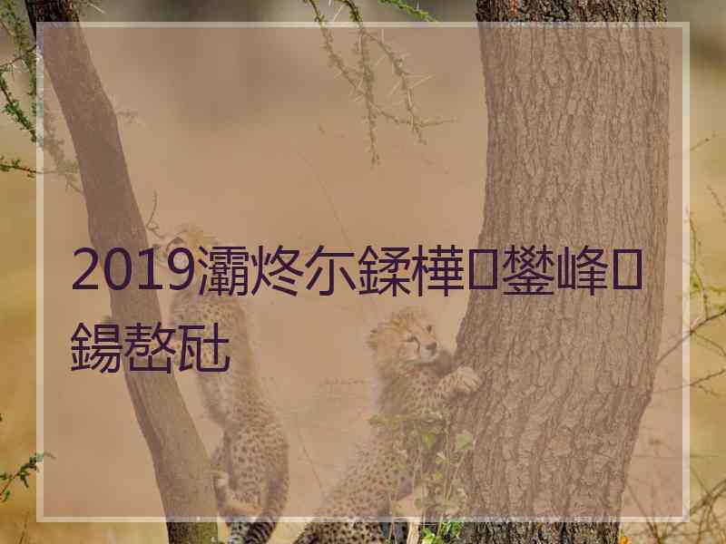 2019灞炵尓鍒樺鐢峰鍚嶅瓧