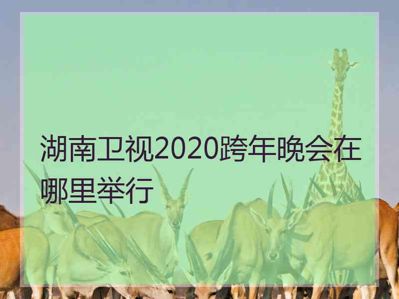 湖南卫视2020跨年晚会在哪里举行