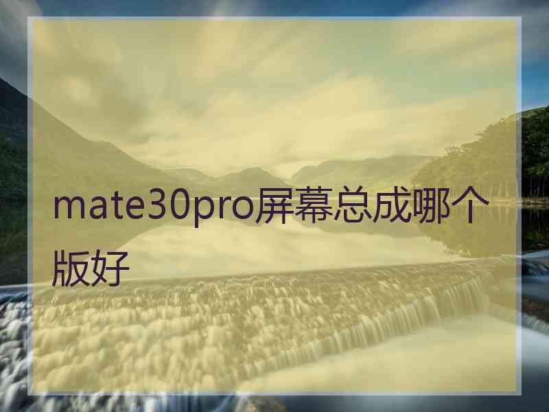 mate30pro屏幕总成哪个版好