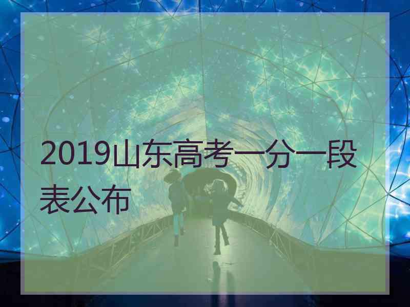 2019山东高考一分一段表公布