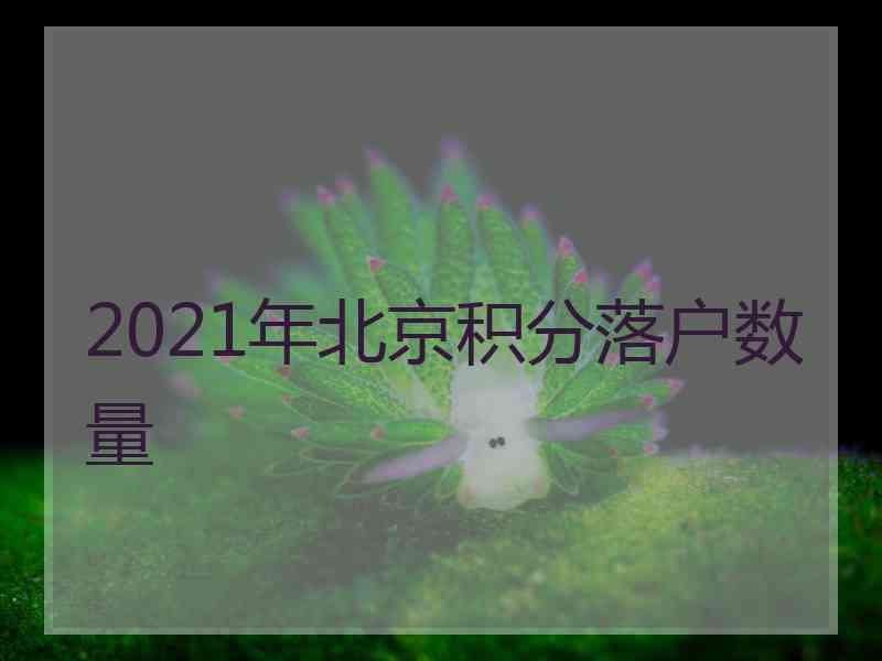 2021年北京积分落户数量