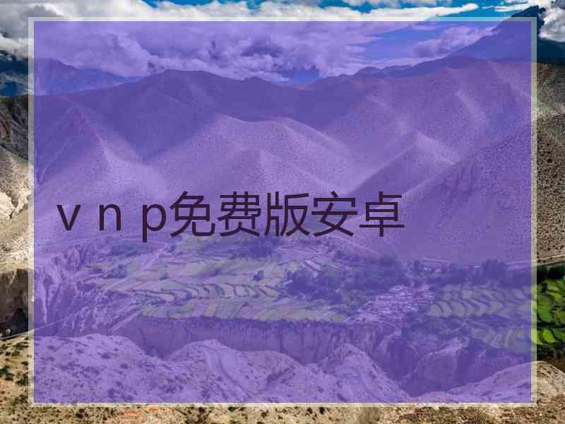 v n p免费版安卓