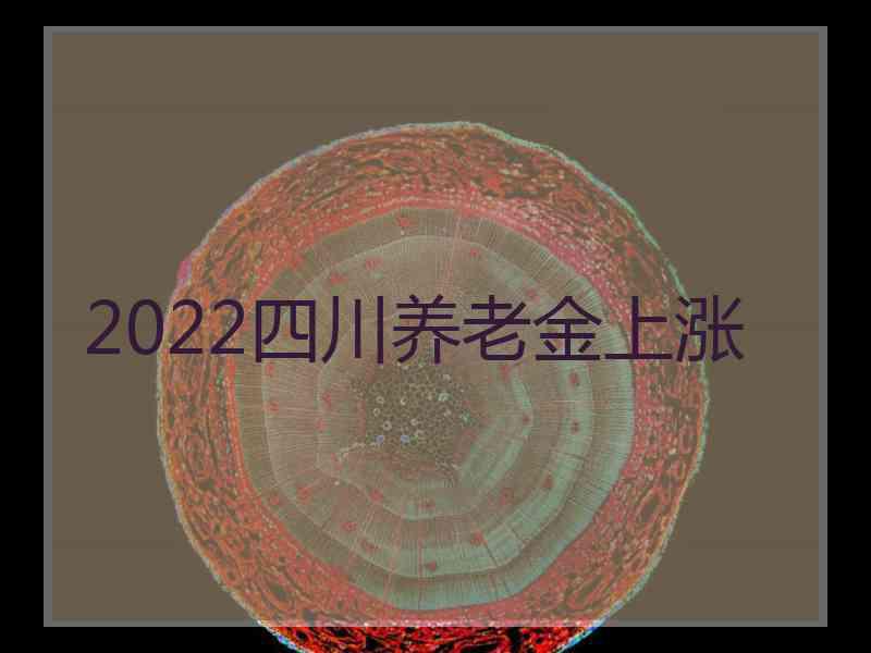 2022四川养老金上涨