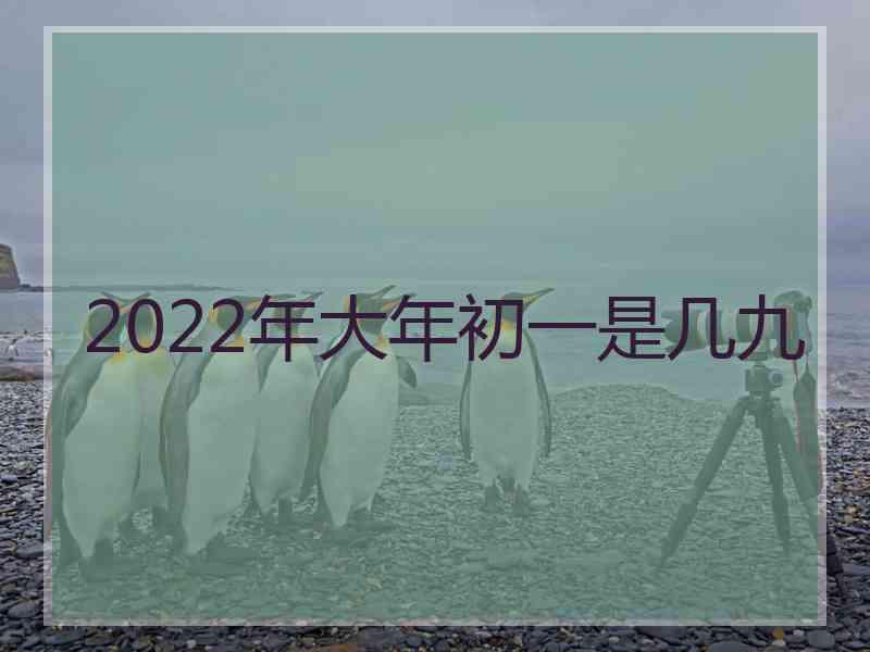 2022年大年初一是几九