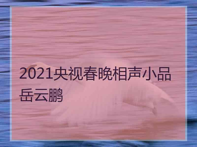 2021央视春晚相声小品岳云鹏