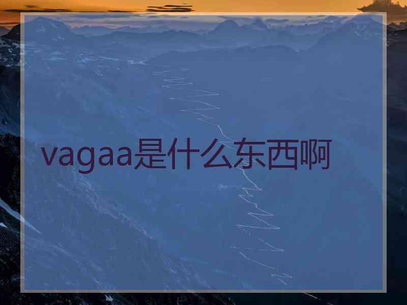 vagaa是什么东西啊