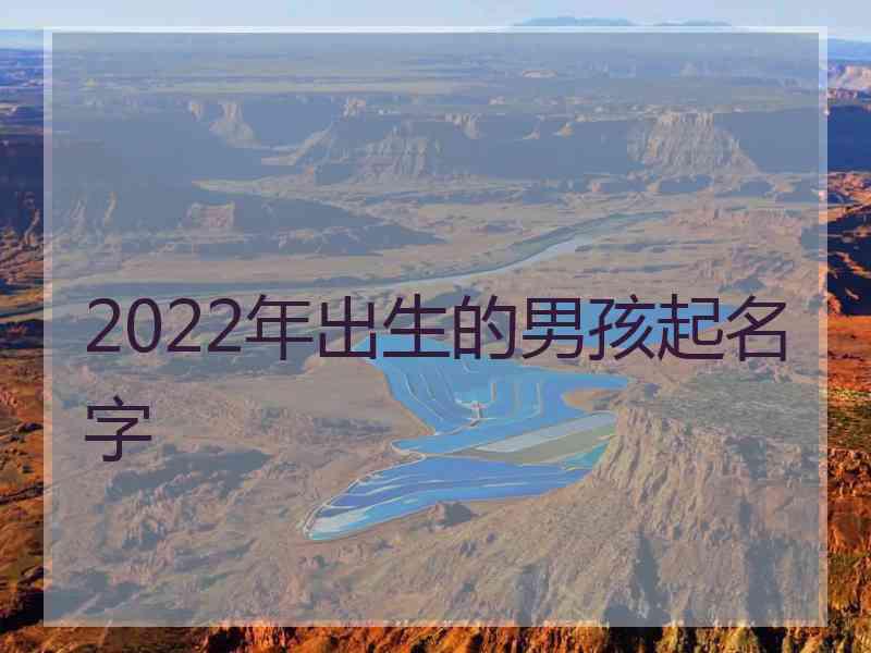 2022年出生的男孩起名字