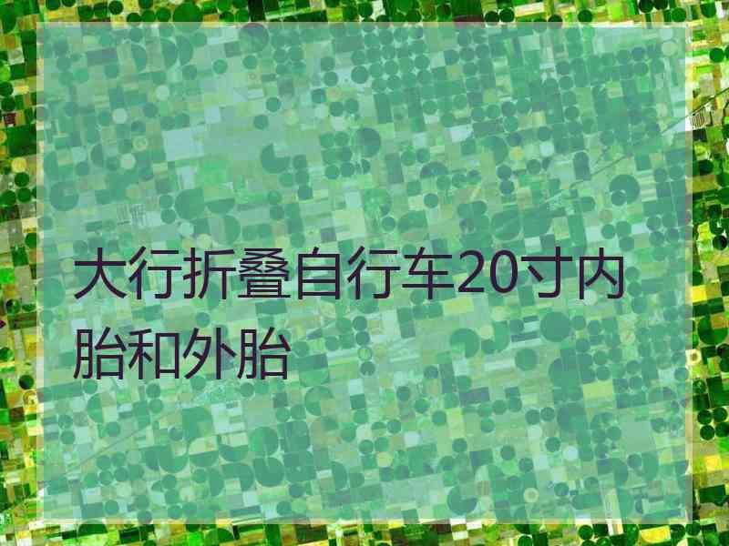 大行折叠自行车20寸内胎和外胎