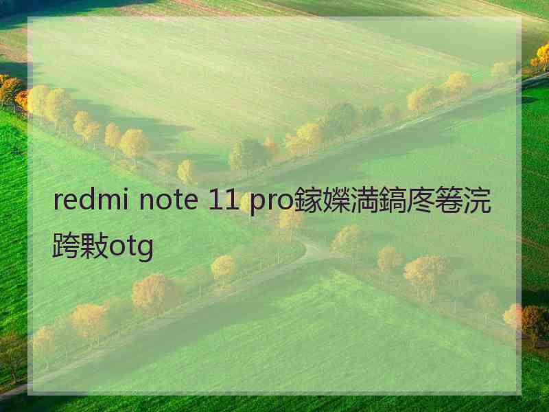 redmi note 11 pro鎵嬫満鎬庝箞浣跨敤otg