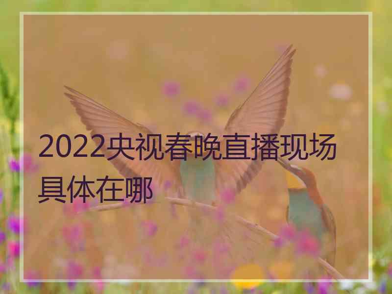 2022央视春晚直播现场具体在哪