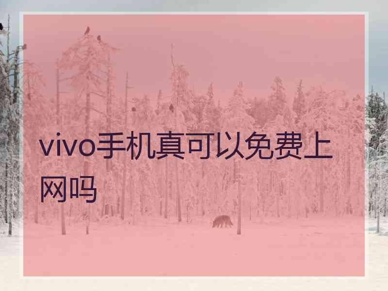 vivo手机真可以免费上网吗