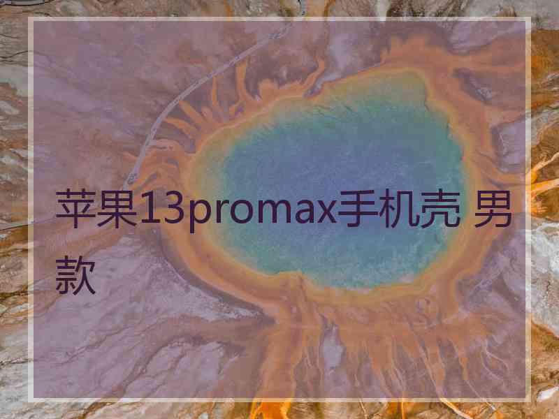 苹果13promax手机壳 男款