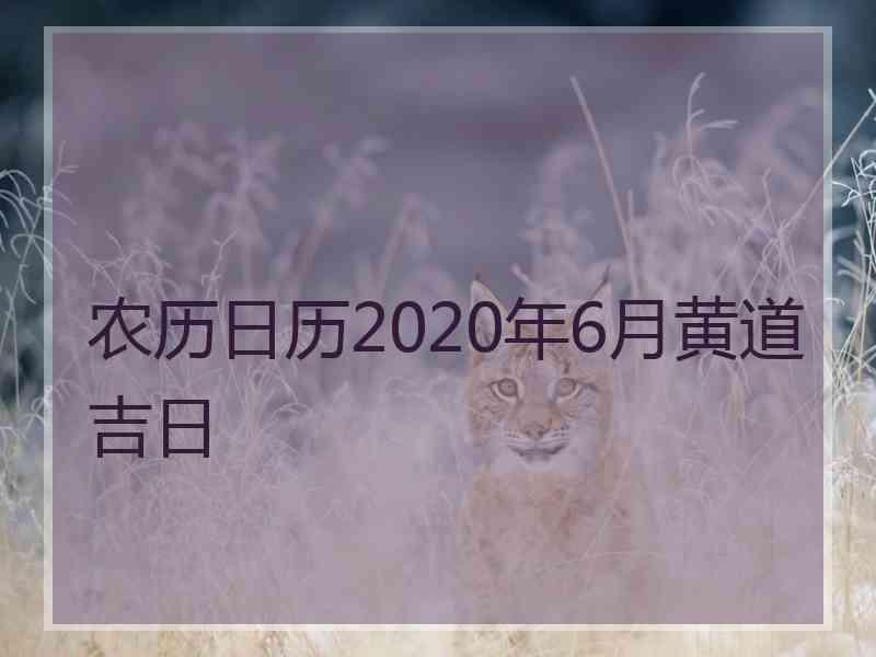 农历日历2020年6月黄道吉日