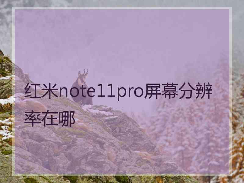 红米note11pro屏幕分辨率在哪