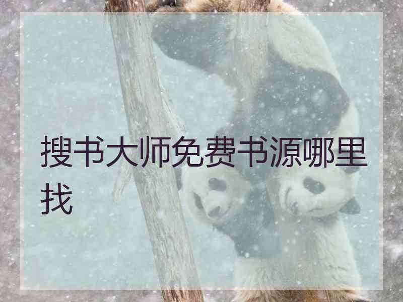 搜书大师免费书源哪里找