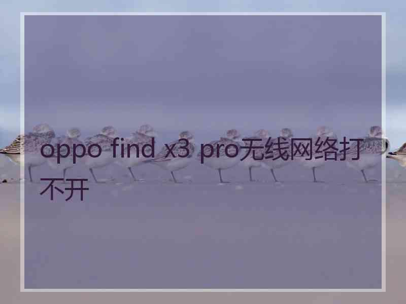 oppo find x3 pro无线网络打不开