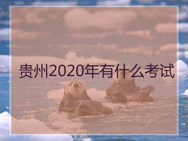 贵州2020年有什么考试