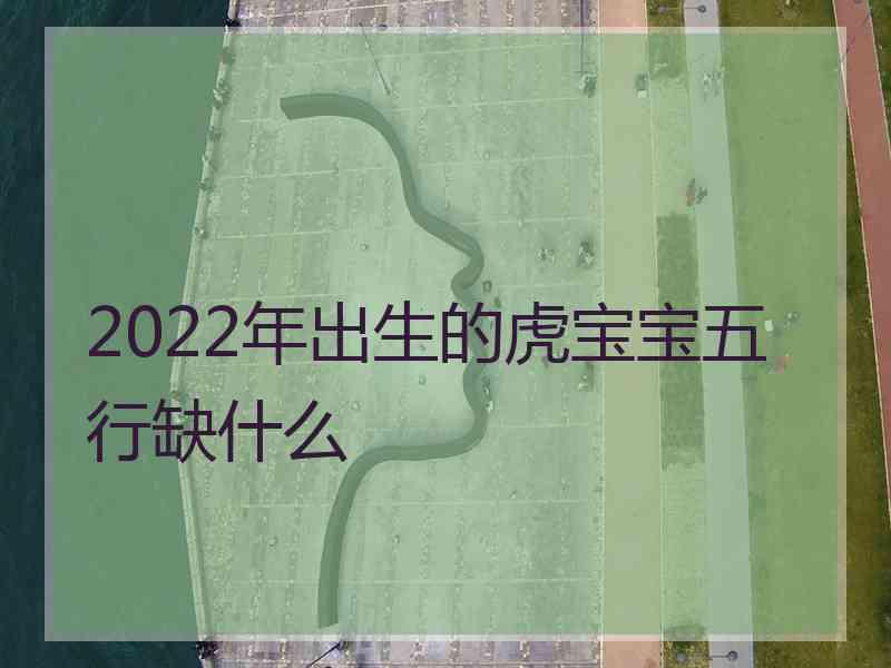 2022年出生的虎宝宝五行缺什么