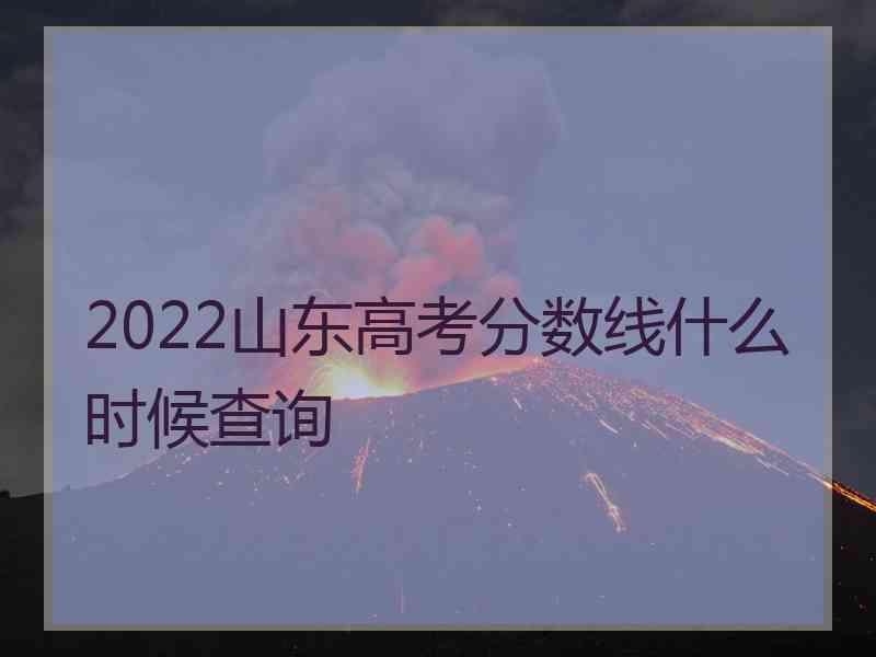 2022山东高考分数线什么时候查询