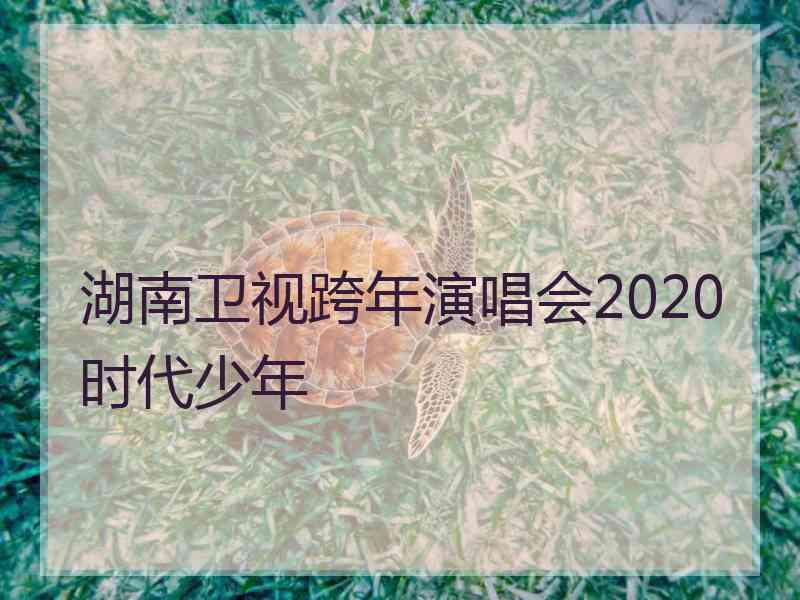 湖南卫视跨年演唱会2020时代少年