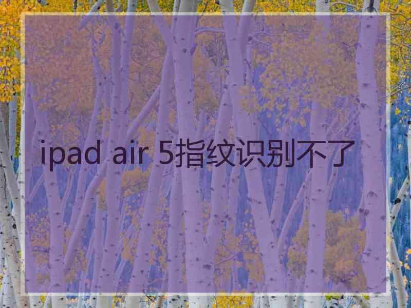 ipad air 5指纹识别不了