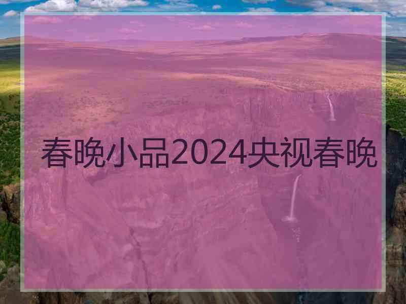 春晚小品2024央视春晚