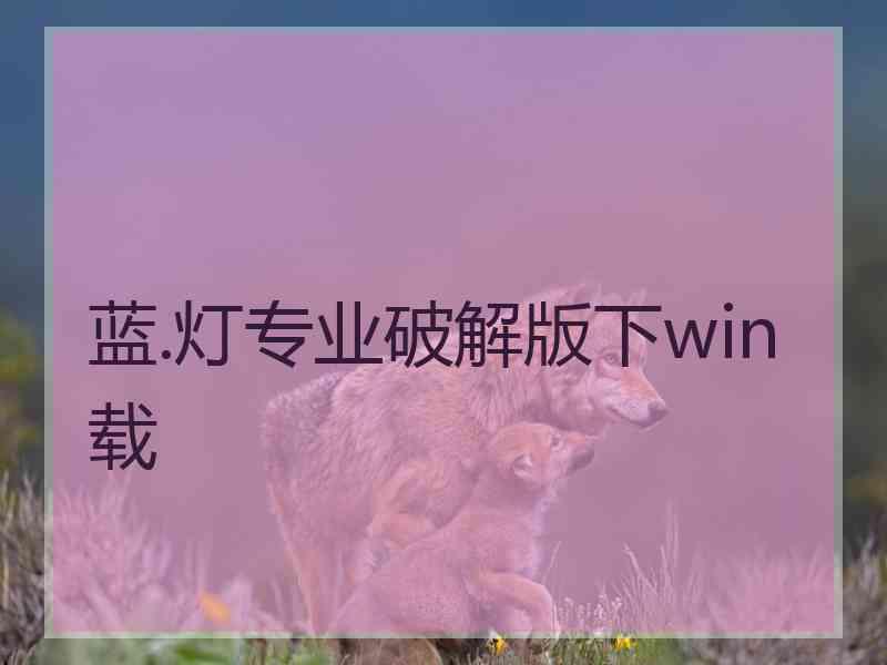 蓝.灯专业破解版下win载