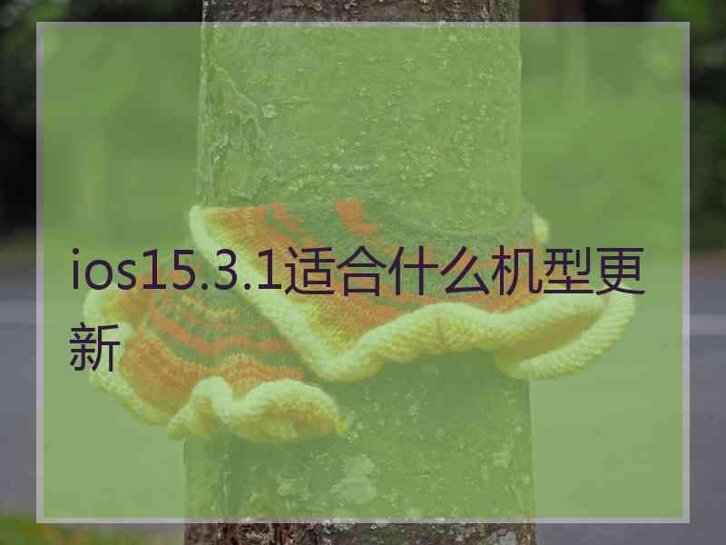 ios15.3.1适合什么机型更新