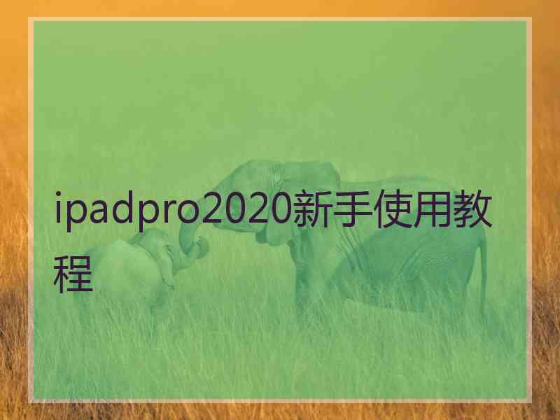 ipadpro2020新手使用教程