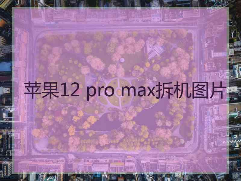 苹果12 pro max拆机图片