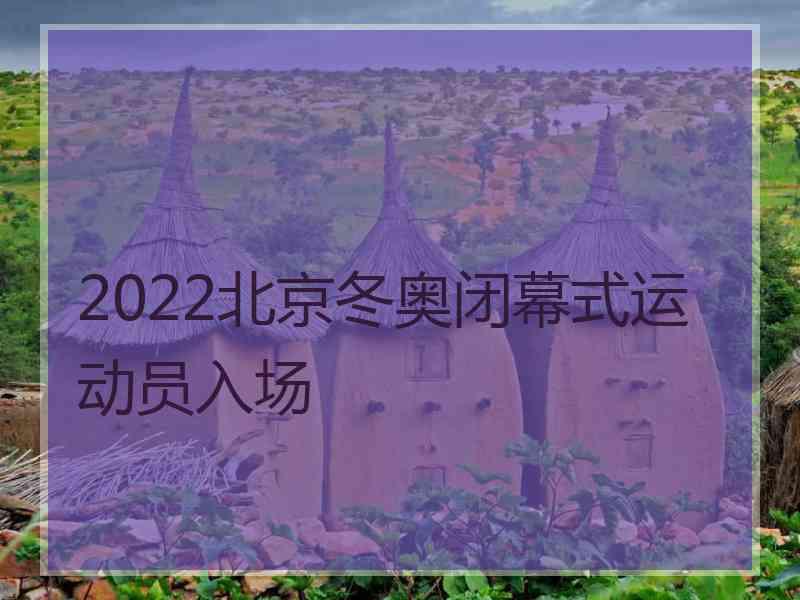 2022北京冬奥闭幕式运动员入场