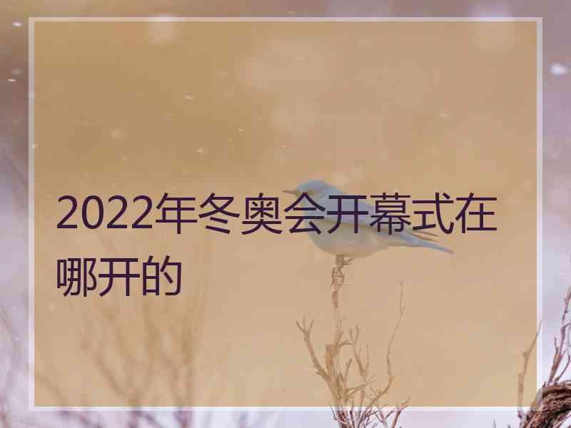 2022年冬奥会开幕式在哪开的